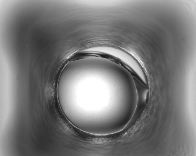 X0000085310105200703161459