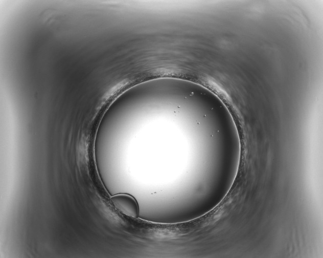 X0000085310106200703161459