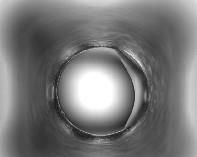 X0000085310109200703161459