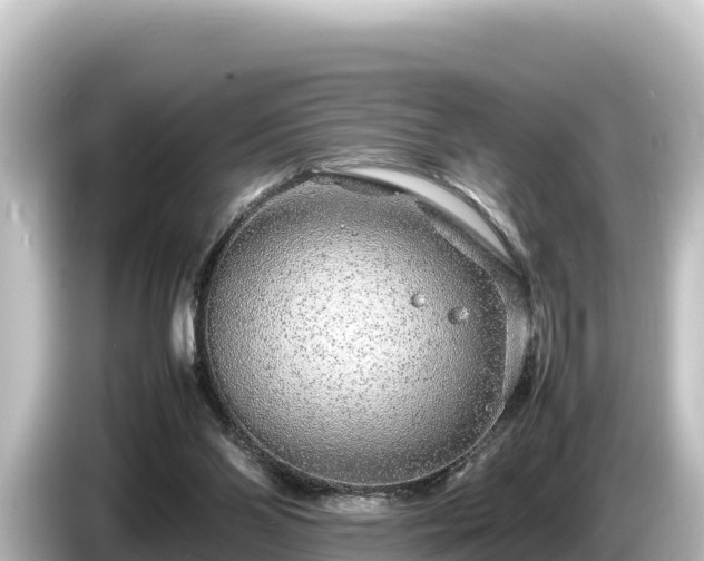 X0000085310110200703161459