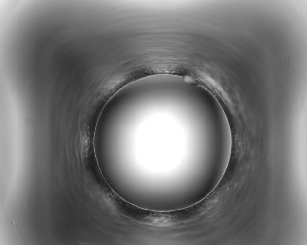 X0000085310113200703161459