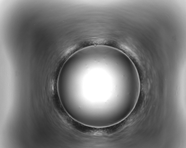 X0000085310115200703161459