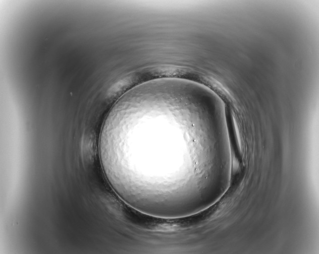 X0000085310119200703161459