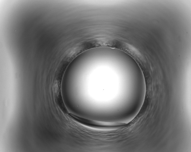 X0000085310121200703161459