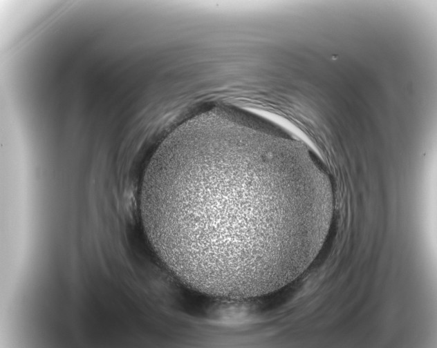 X0000085310127200703161459