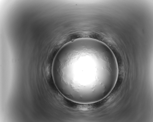 X0000085310131200703161459