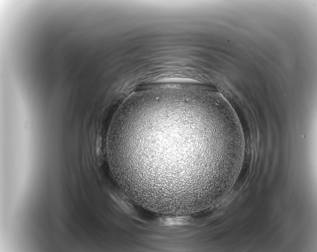 X0000085310134200703161458