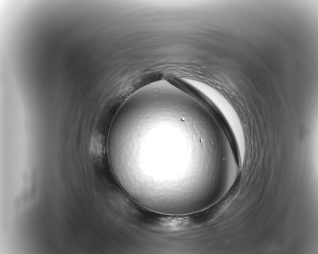 X0000085310135200703161458