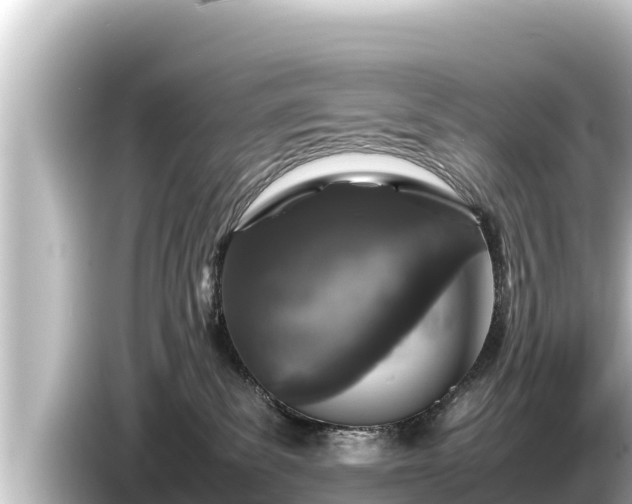 X0000085310139200703161458