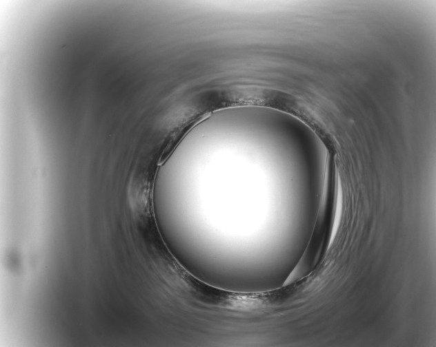 X0000085310141200703161458