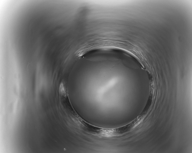 X0000085310143200703161458