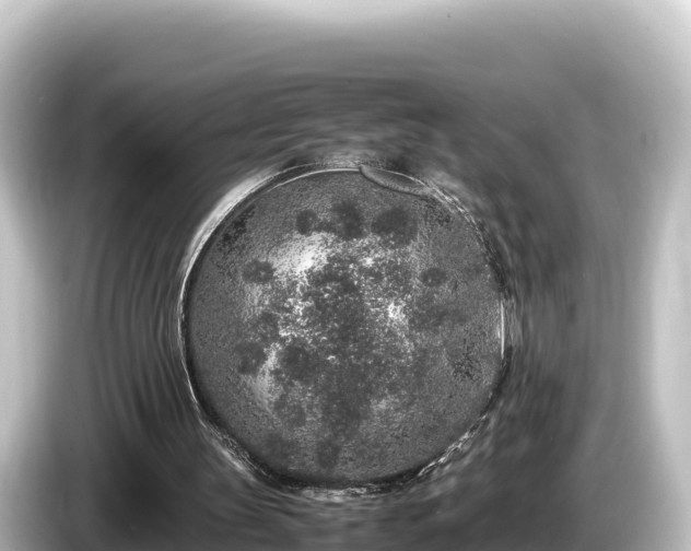 X0000085310147200703161458