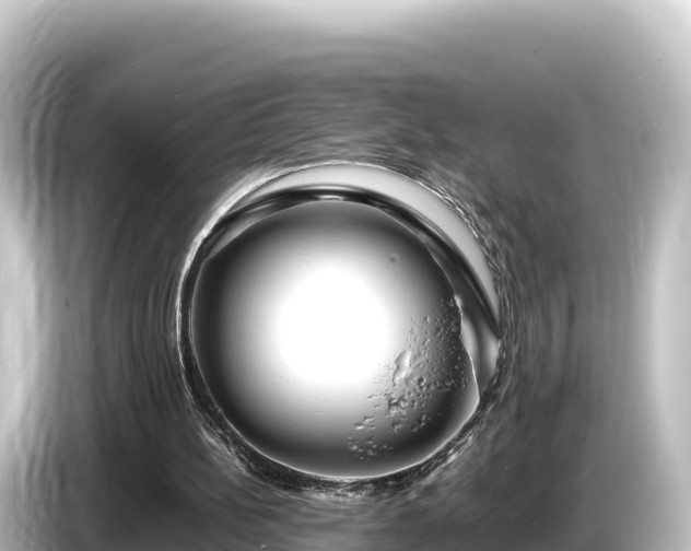 X0000085310148200703161458
