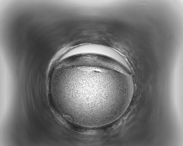 X0000085310149200703161458