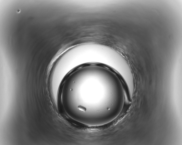 X0000085310150200703161458