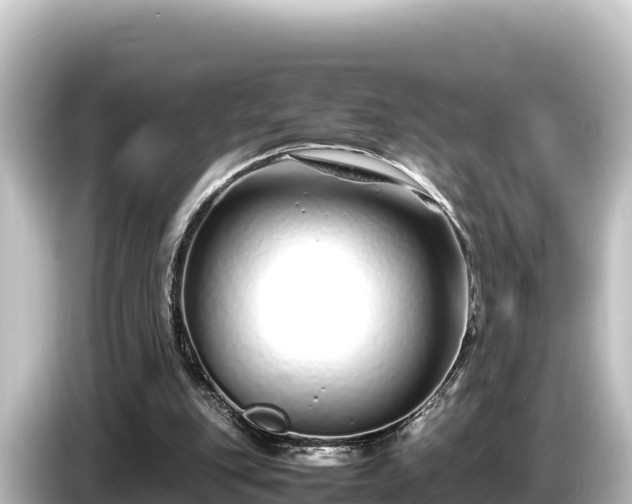 X0000085310151200703161458
