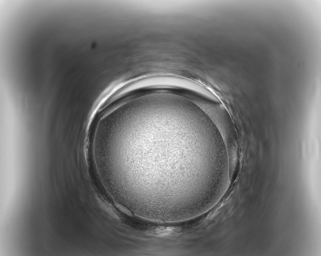 X0000085310152200703161458