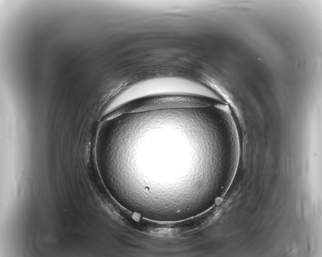 X0000085310153200703161458