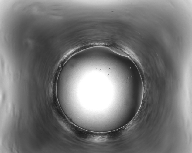 X0000085310155200703161458