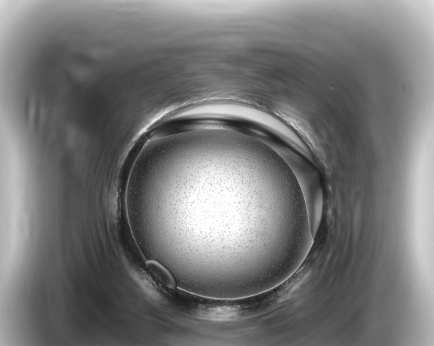 X0000085310156200703161458