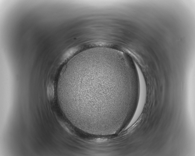 X0000085310158200703161458