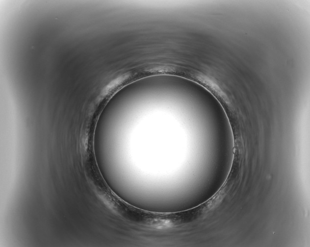 X0000085310159200703161458