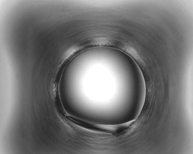 X0000085310160200703161458