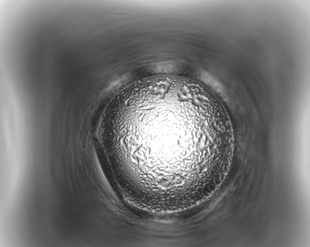 X0000085310161200703161458
