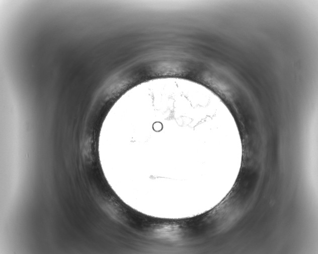 X0000085310162200703161458