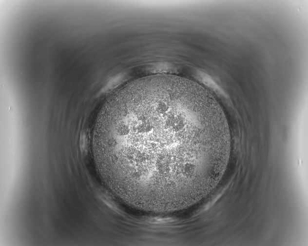 X0000085310165200703161458