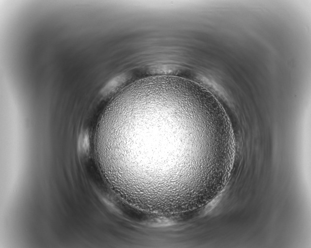 X0000085310166200703161458