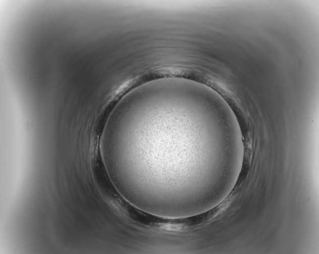 X0000085310168200703161458