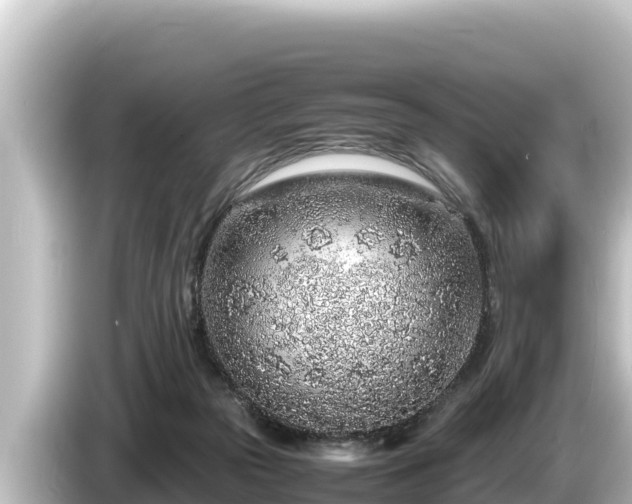 X0000085310169200703161458