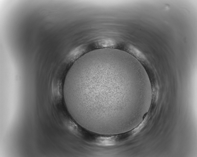 X0000085310170200703161458