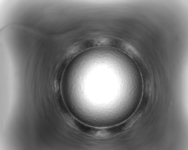 X0000085310173200703161458