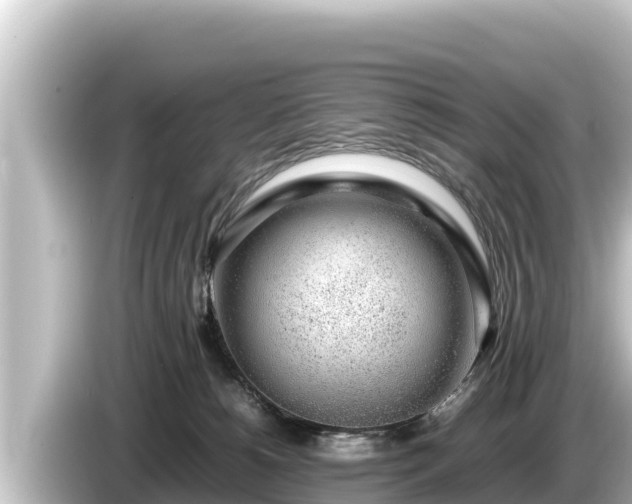 X0000085310180200703161458