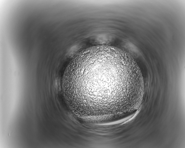 X0000085310182200703161458
