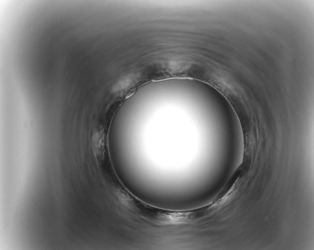 X0000085310184200703161458