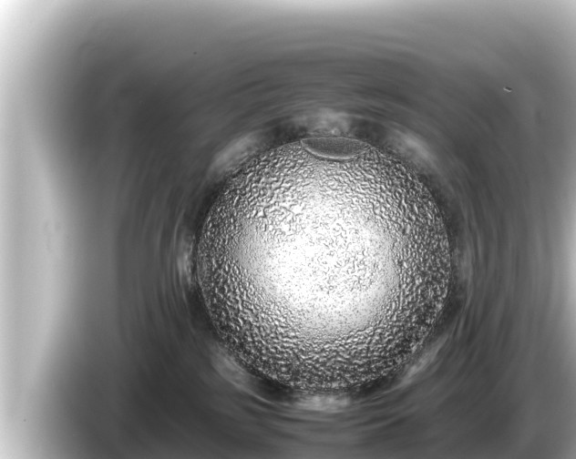 X0000085310185200703161458