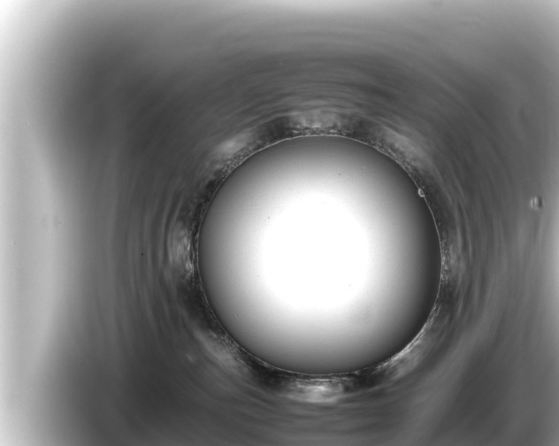 X0000085310187200703161458