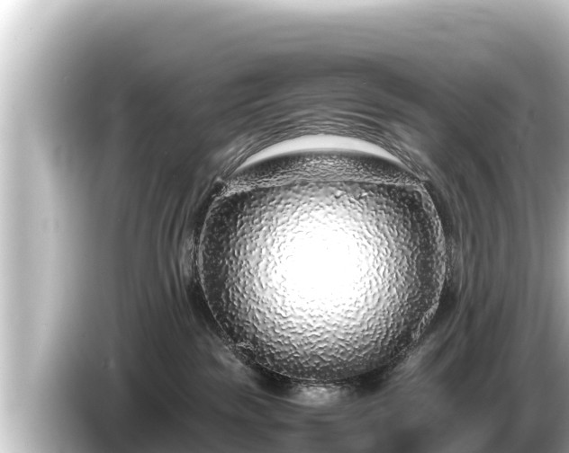 X0000085310189200703161458