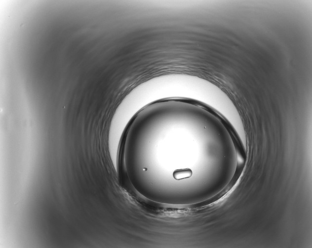 X0000085310190200703161458