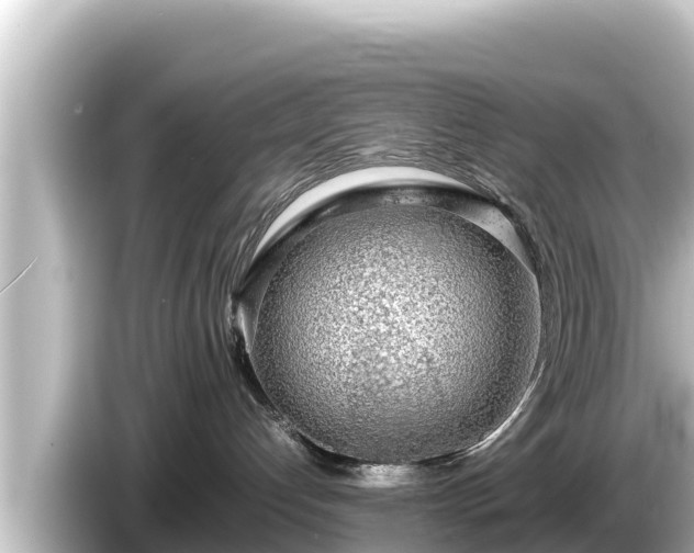 X0000085310192200703161458