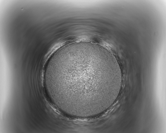 X0000085310194200703161458