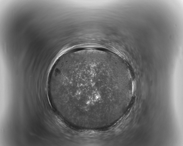 X0000085310195200703161458