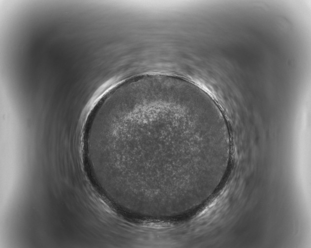 X0000085310199200703161458