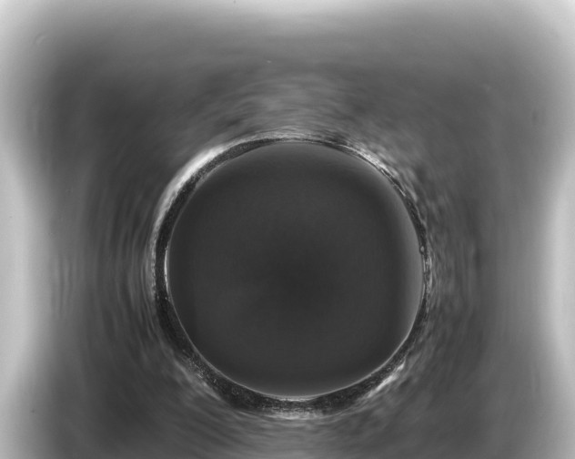 X0000085310200200703161458