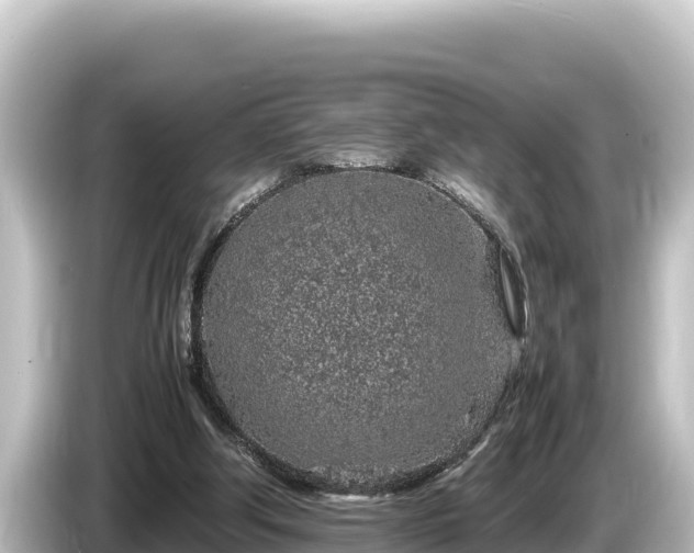 X0000085310202200703161458