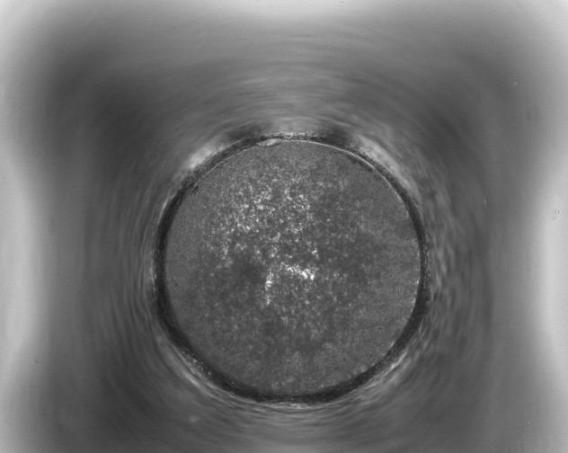 X0000085310203200703161458