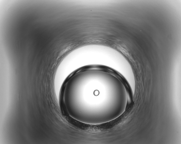X0000085310207200703161458